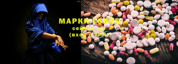 прущие грибы Покров