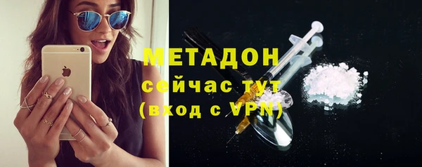 прущие грибы Покров
