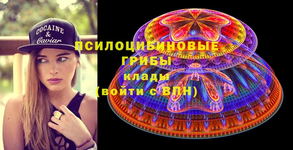 прущие грибы Покров