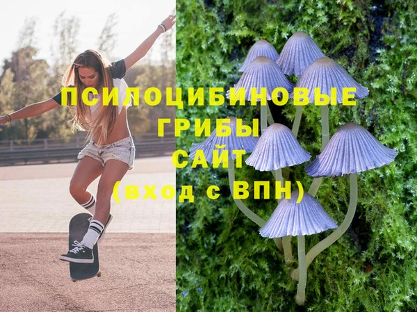 таблы Алексеевка